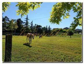 Thumbnail von Immogold, aparte Villa in sonniger Lage mit parkähnlichem Areal