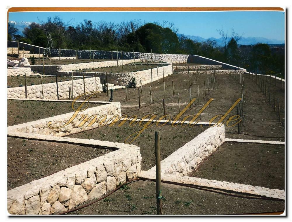 Thumbnail von Luxuriöses Baugrundstück mit Meerblick und eigenem Brunnen