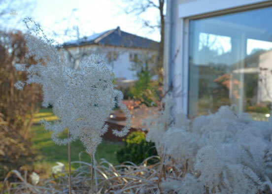 Thumbnail von Charmanter Bungalow - Ideal für Paare und Familien - Rödermark - Waldacker