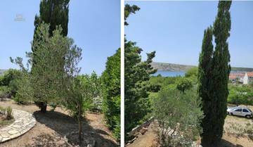 Thumbnail von Appartementhaus mit Meerblick