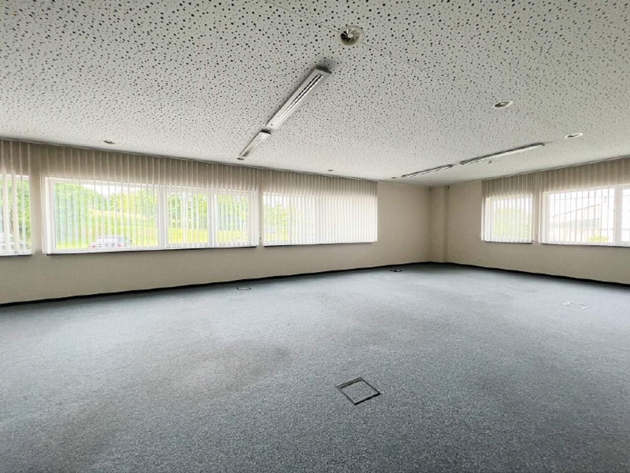 Thumbnail von Moderne Halle zum Eigennutz an der A14 zum Kauf!