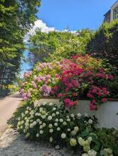 Thumbnail von Wunderschöne Villa mit Pool und weitläufigem Grundstück, Nähe Pressbaum