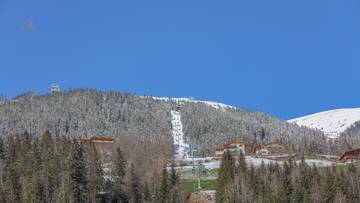 Thumbnail von Apartment am Skilift mit touristischer Nutzung