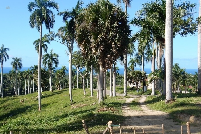 Thumbnail von Ein Traumgrundstück - schönste Lage an der Nordküste!