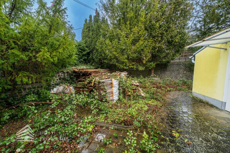 Thumbnail von Traumhaftes Grundstück mit Einreichplanung für Mehrfamilienhaus, Nähe Baumgartner-Casino-Park