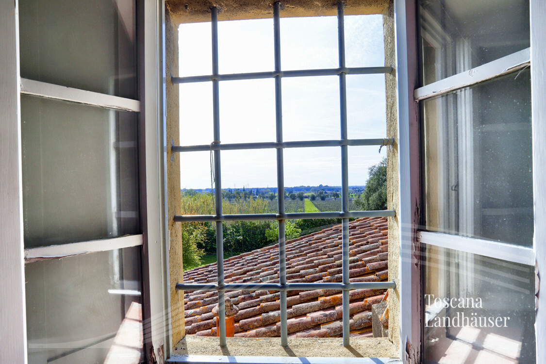Thumbnail von Antikes Landhaus mit Nebengebäude in Mitten der Weinberge von Bolgheri