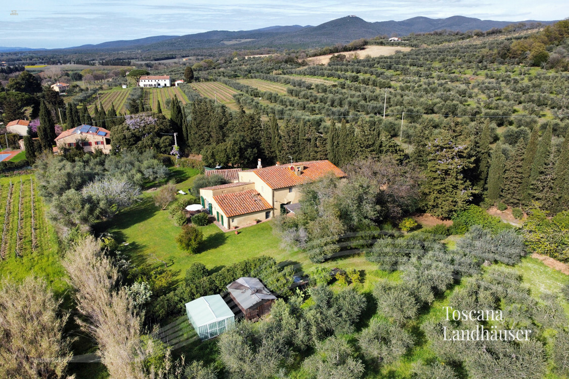 Thumbnail von Antikes Landhaus mit Nebengebäude in Mitten der Weinberge von Bolgheri