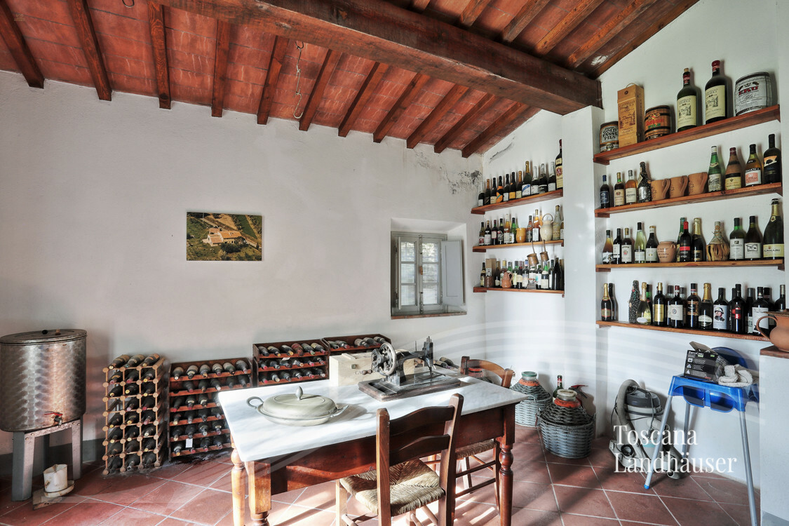 Thumbnail von Antikes Landhaus mit Nebengebäude in Mitten der Weinberge von Bolgheri