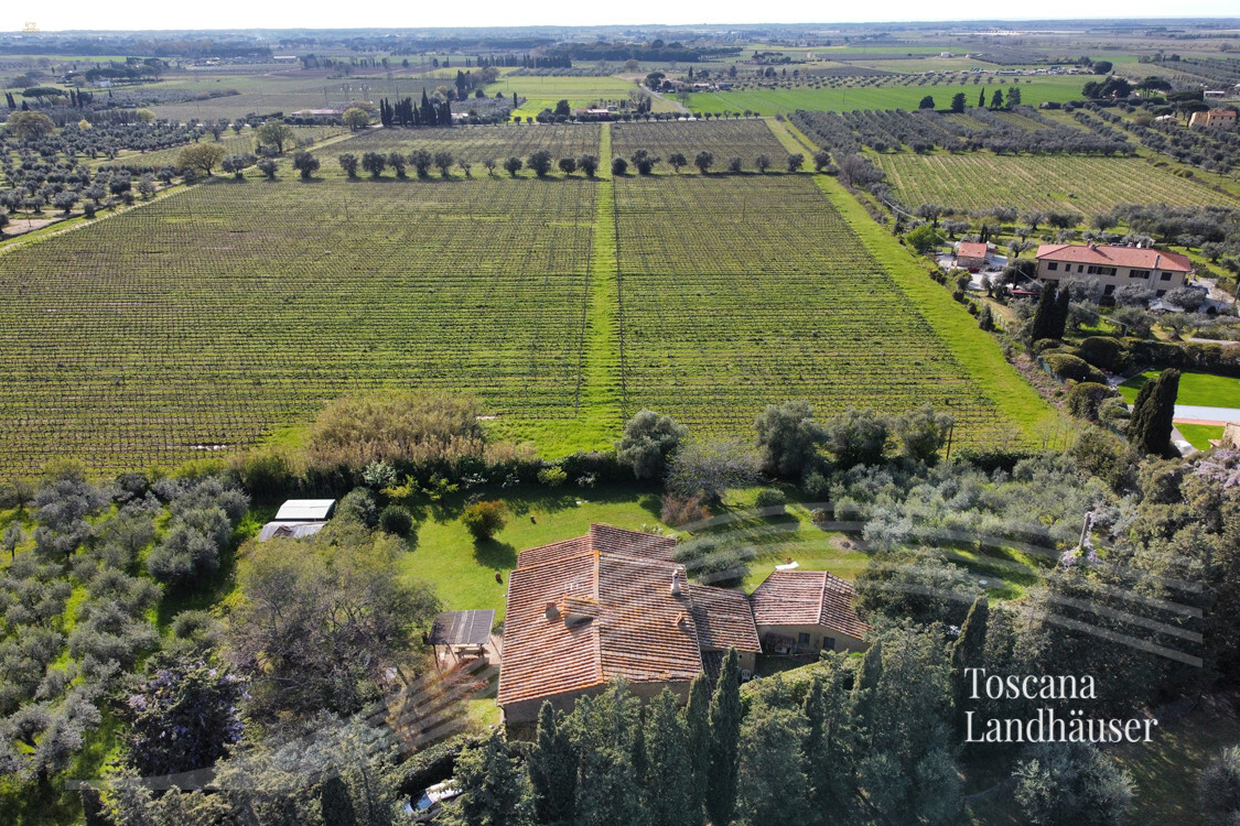 Thumbnail von Antikes Landhaus mit Nebengebäude in Mitten der Weinberge von Bolgheri