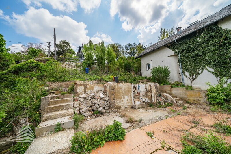 Thumbnail von Traumhaftes Grundstück mit Bebauungstudie, Nähe Kahlenberg