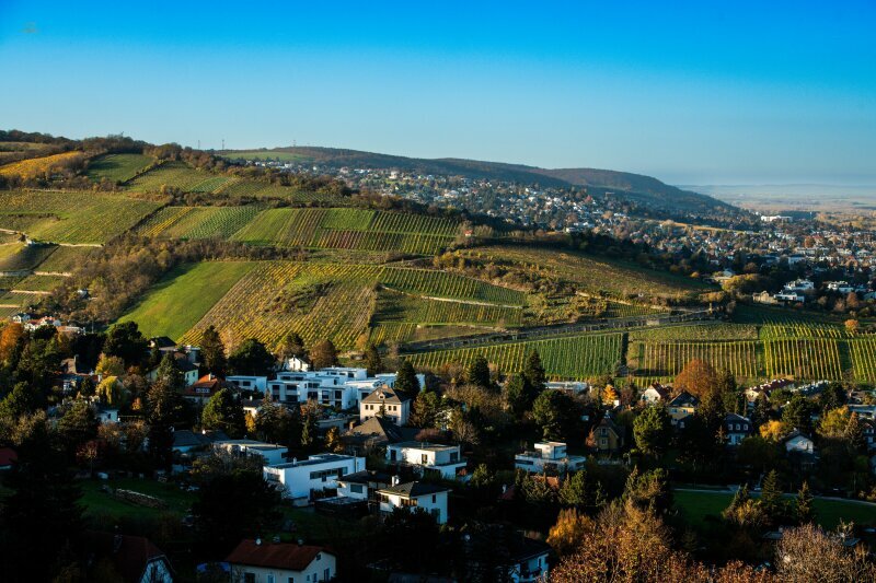 Thumbnail von Traumhaftes Grundstück mit Bebauungstudie, Nähe Kahlenberg
