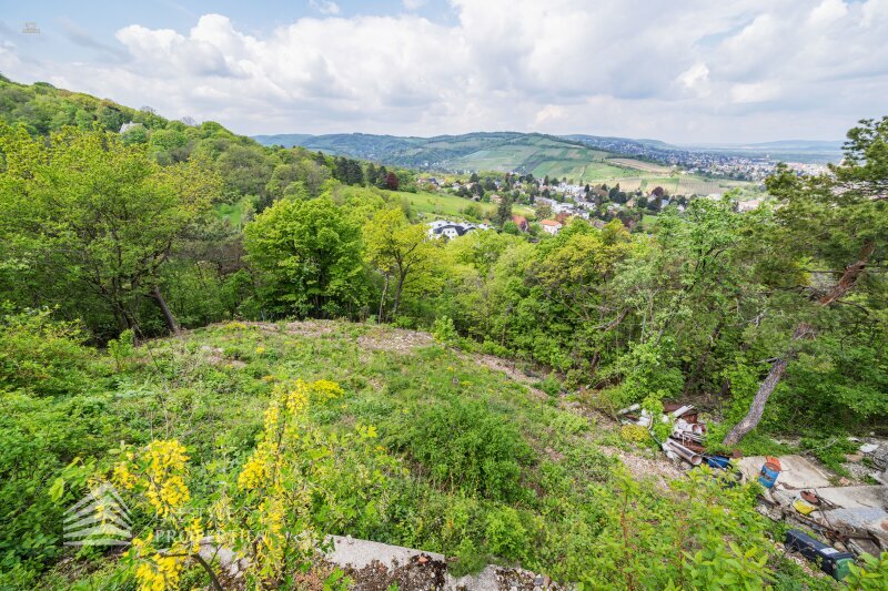 Thumbnail von Traumhaftes Grundstück mit Bebauungstudie, Nähe Kahlenberg