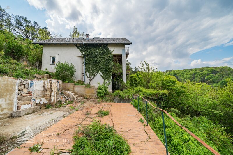 Thumbnail von Traumhaftes Grundstück mit Bebauungstudie, Nähe Kahlenberg