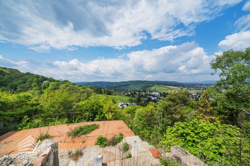 Thumbnail von Traumhaftes Grundstück mit Bebauungstudie, Nähe Kahlenberg