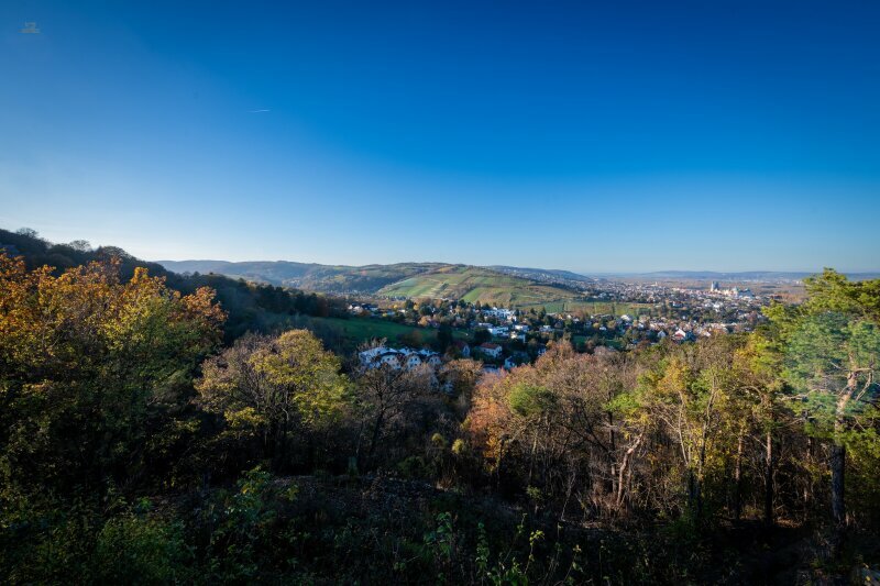 Thumbnail von Traumhaftes Grundstück mit Bebauungstudie, Nähe Kahlenberg