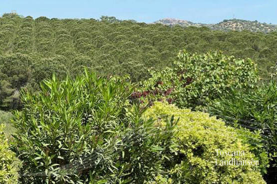 Thumbnail von Anwesen mit insgesamt 8 Gebäuden und ca. 31 ha Land in Meernähe