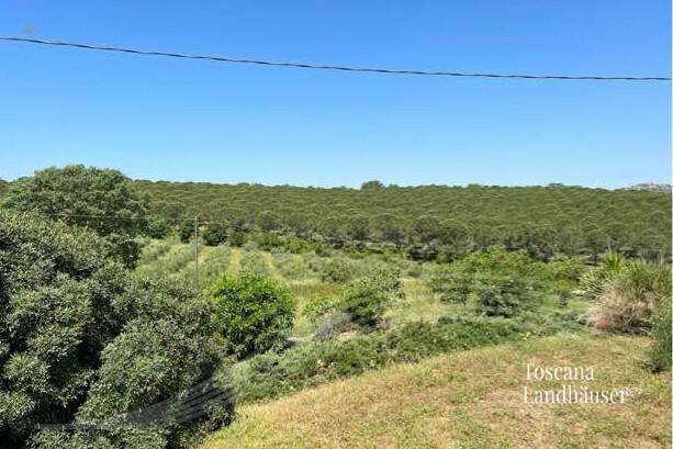 Thumbnail von Anwesen mit insgesamt 8 Gebäuden und ca. 31 ha Land in Meernähe