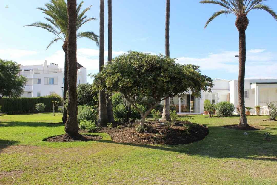 villa for sale in - Guadalmina Alta 