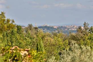 Thumbnail von シエナからわずか数キロの場所にある息を呑むような邸宅