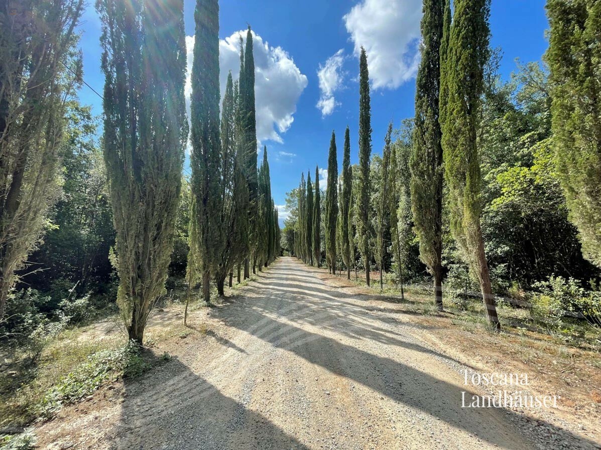 Thumbnail von renoviertes Anwesen eingebettet in üppige Natur, nur wenige Kilometer von Siena entfernt