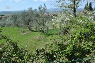 Thumbnail von **Provisionsfrei für Käufer**
Idyllisch gelegenes Rustico mit Olivenhain nahe einer Stadt