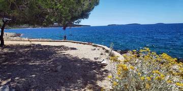 Thumbnail von Dom w pierwszej linii do morza