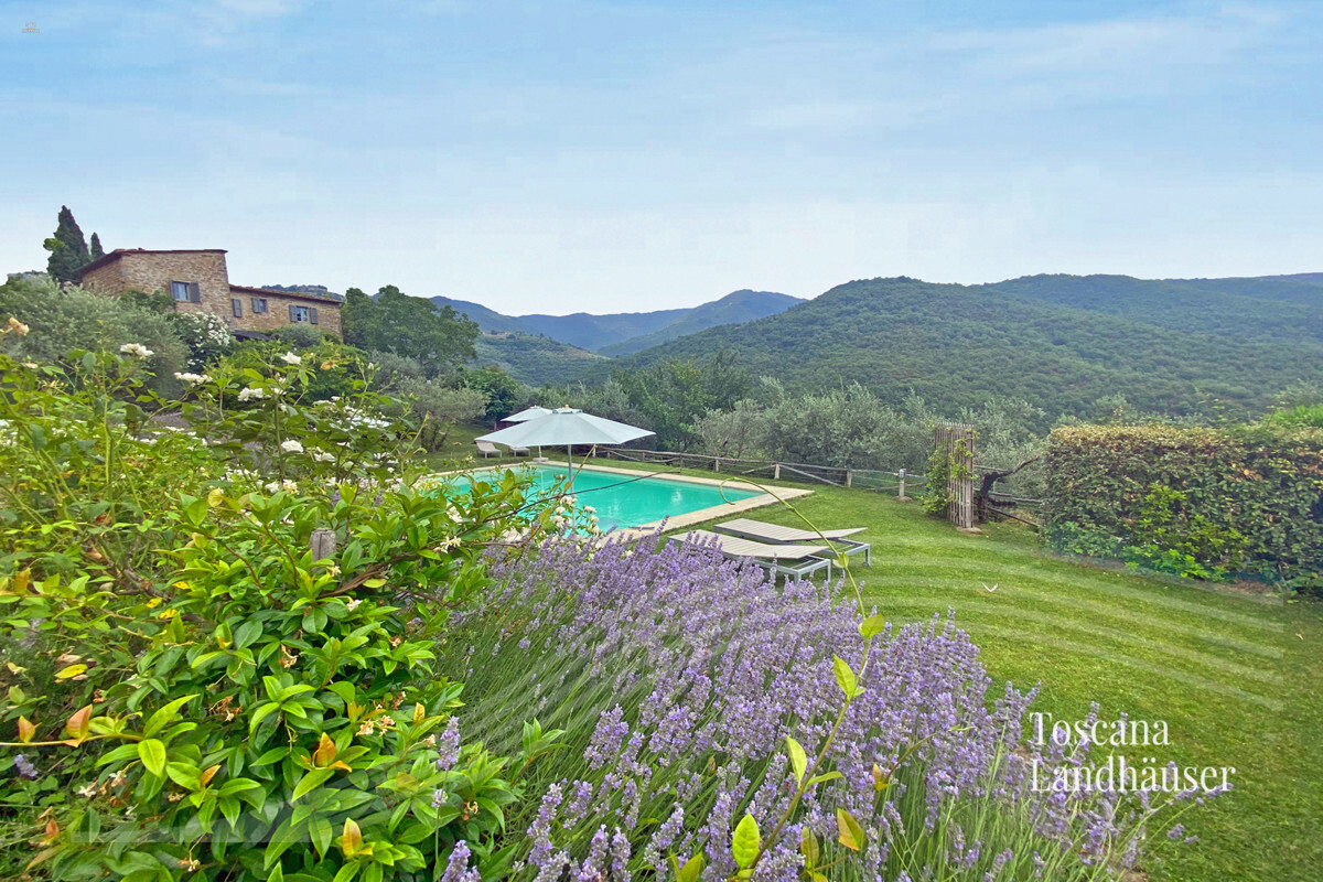 Thumbnail von Romantisches Rustico mit Pool in Panoramalage