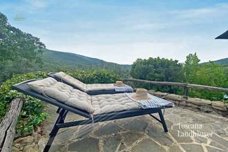 Thumbnail von Romantisches Rustico mit Pool in Panoramalage