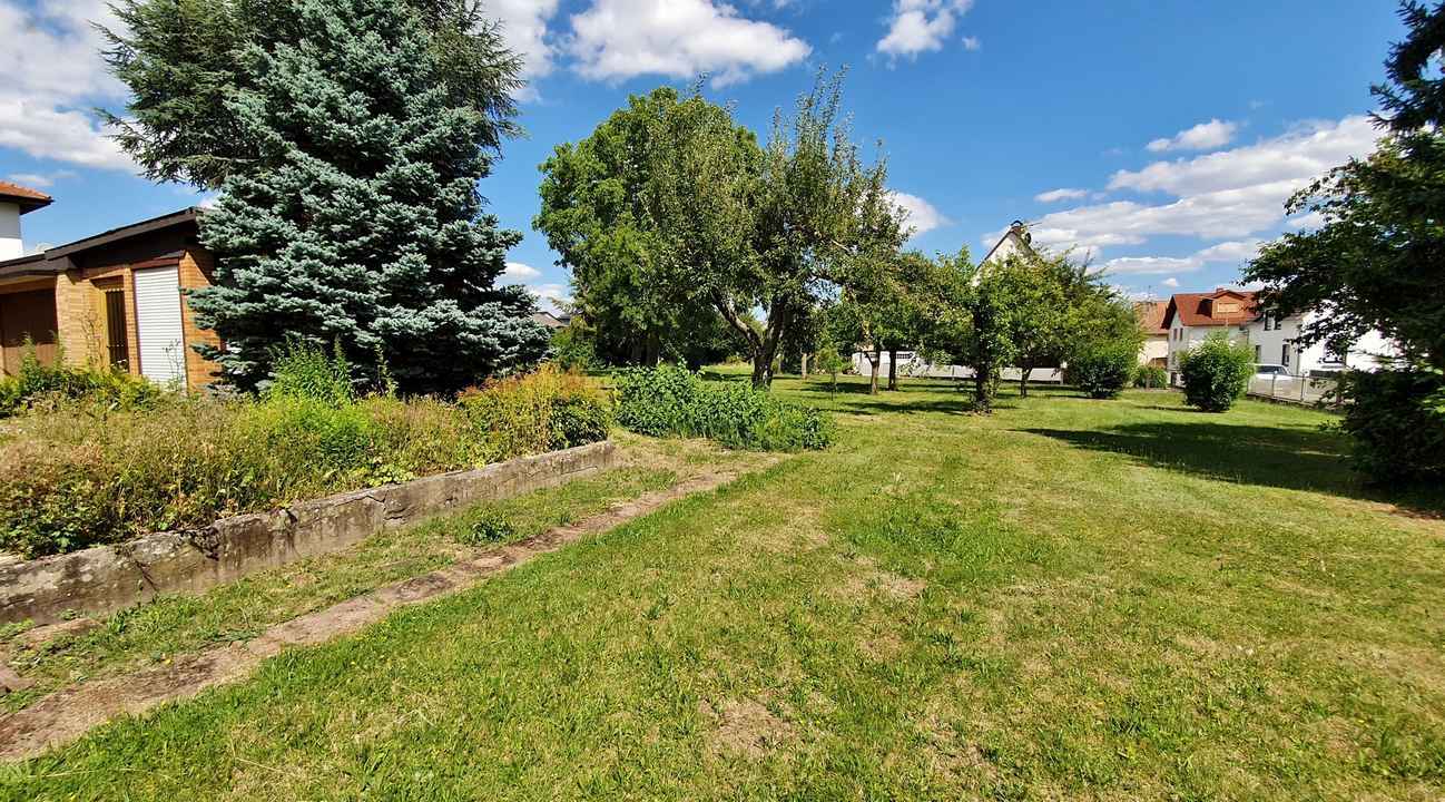 Großes, langgestrecktes Baugrundstück mit Baumbestand. 2 Vollgeschosse möglich!