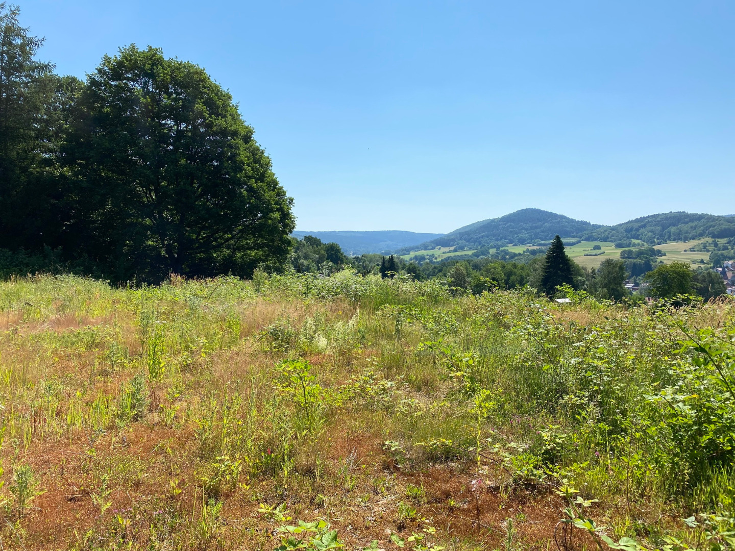 Thumbnail von Tolle Aussichten! Großes, terrassiertes Wohngrundstück im Wochenendgebiet. Tiny Houses möglich!!!