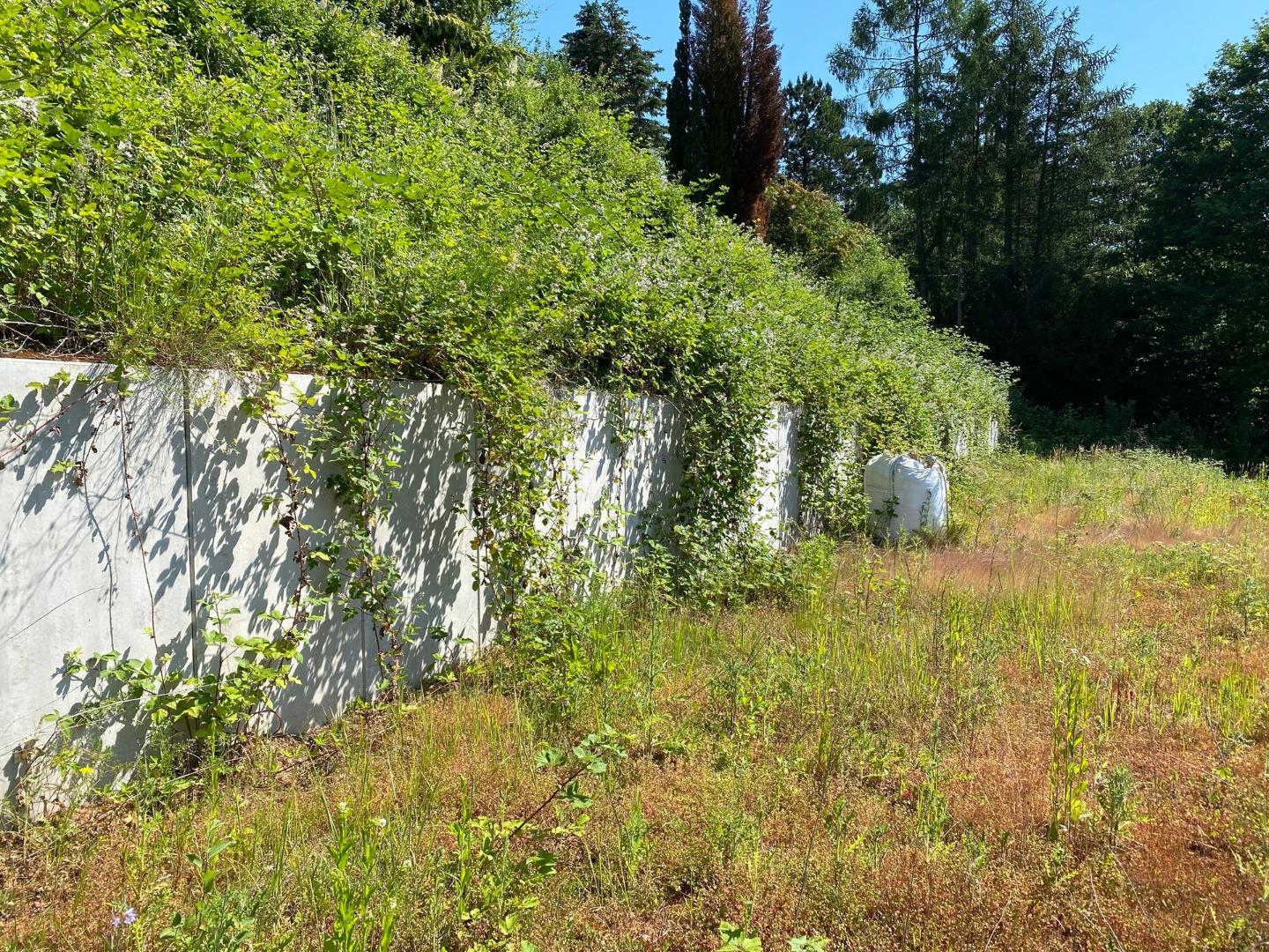 Thumbnail von Tolle Aussichten! Großes, terrassiertes Wohngrundstück im Wochenendgebiet. Tiny Houses möglich!!!