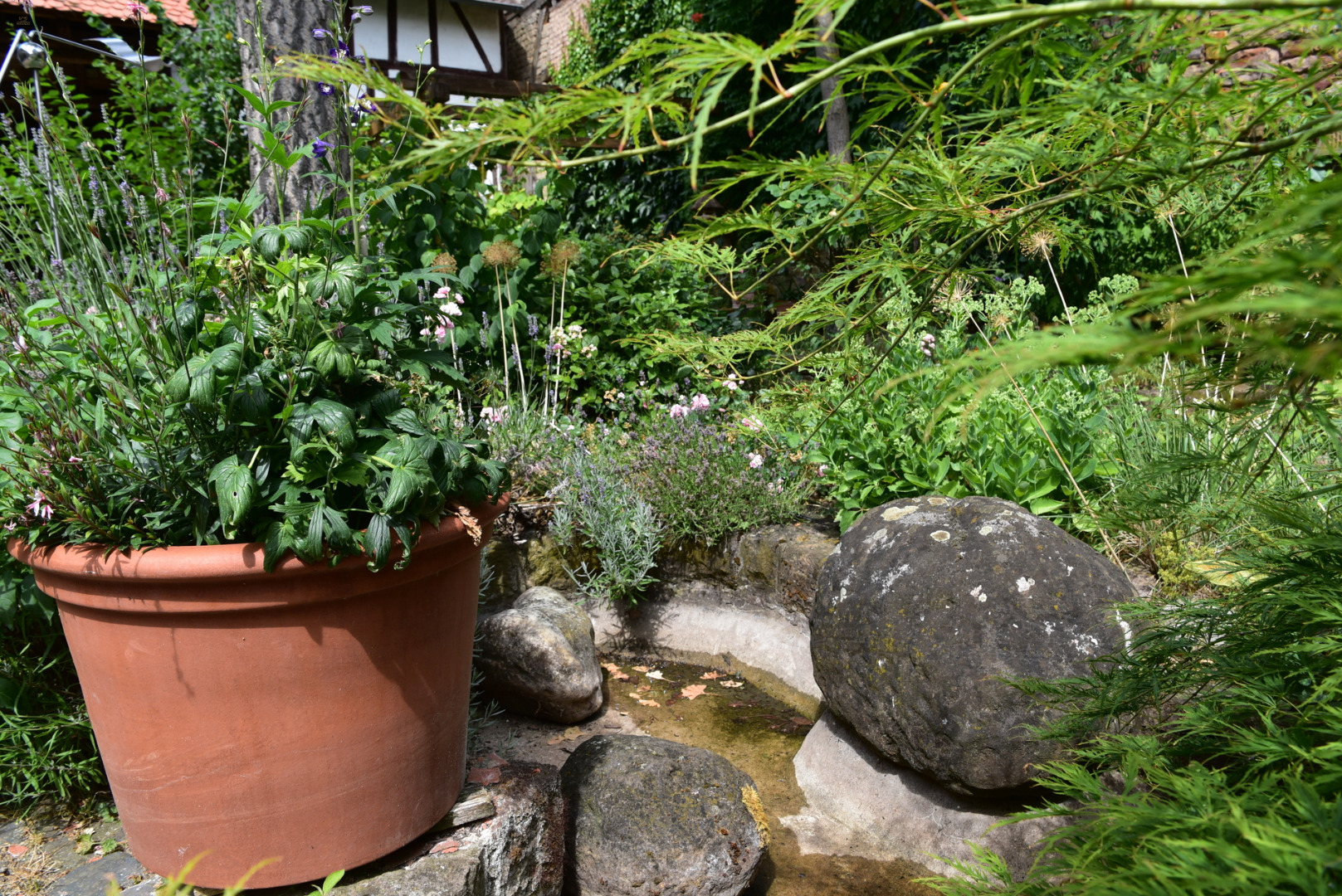 Thumbnail von Kleinod in bestem Sinne: Hofreite mit 2 Wohnhäusern, Garten & Nebengebäuden. Wunderschön!
