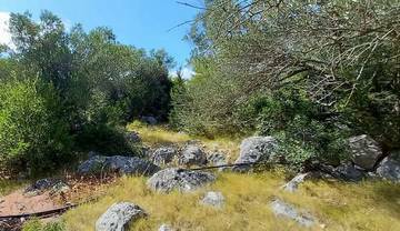 Thumbnail von Haus im Rohbau zur Fertigstellung direkt am Meer, Insel Žut
