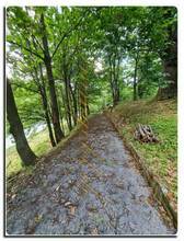 Thumbnail von Immogold freistehendes Haus im Kastanienhain