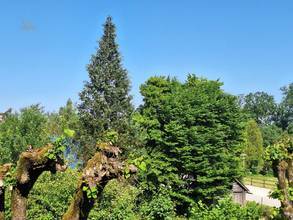 Thumbnail von KAUFEN satt MIETEN