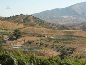 Thumbnail von villa for sale in - Mijas Costa