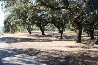 Thumbnail von villa for sale in - Ronda