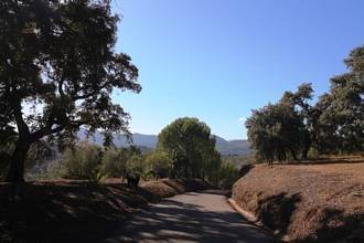Thumbnail von villa for sale in - Ronda