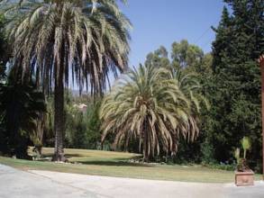 Thumbnail von villa for sale in - Marbella