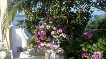 Thumbnail von Villa mit 9 Appartements in außergewöhnlich schöner Lage am Meer