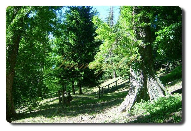 Thumbnail von Immogold, herrschaftliches Anwesen im Süd-Piemont