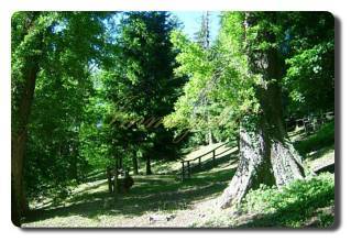 Thumbnail von Immogold, herrschaftliches Anwesen im Süd-Piemont