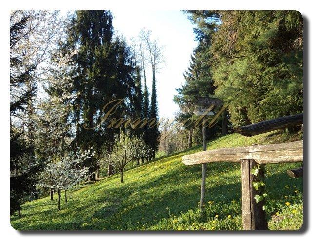 Thumbnail von Immogold, herrschaftliches Anwesen im Süd-Piemont