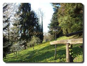 Thumbnail von Immogold, herrschaftliches Anwesen im Süd-Piemont