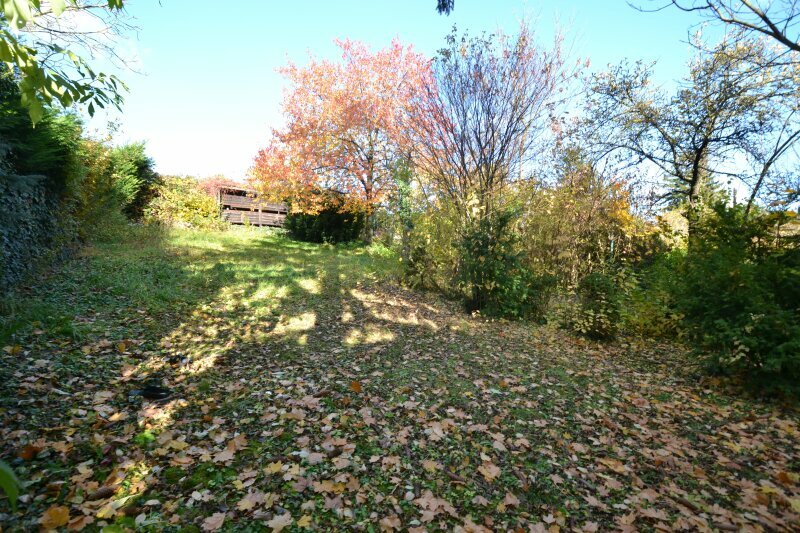 Thumbnail von Traumhaftes Grundstück mit Altbestand und Baustudie in Neustift
