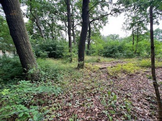 Thumbnail von Baugrundstück für EFH fußläufig dem Lehnitzsee