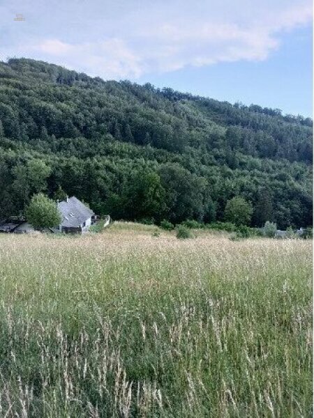 Thumbnail von Traumhaftes Grundstück nahe Neulengbach/Altlengbach