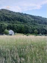 Thumbnail von Traumhaftes Grundstück nahe Neulengbach/Altlengbach