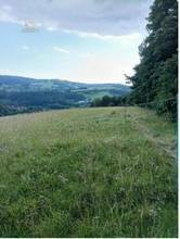 Thumbnail von Traumhaftes Grundstück nahe Neulengbach/Altlengbach