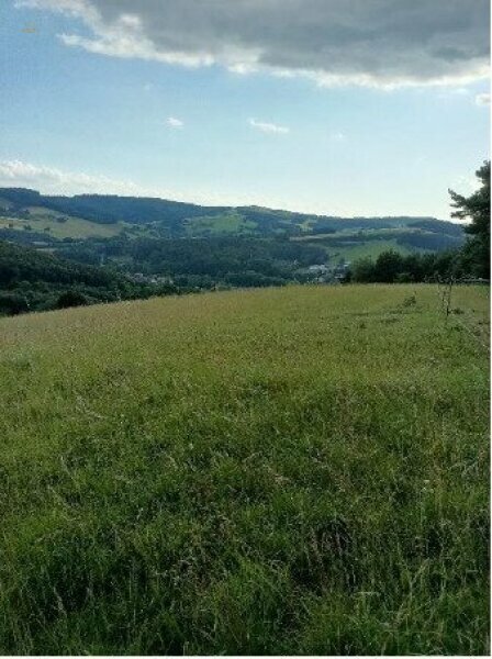 Thumbnail von Traumhaftes Grundstück nahe Neulengbach/Altlengbach